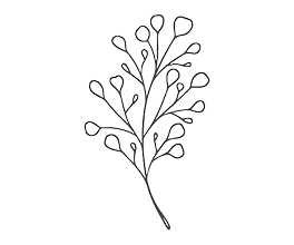 Тільки органічні продукти