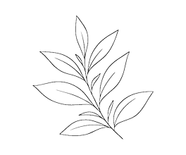 Ціни від виробника