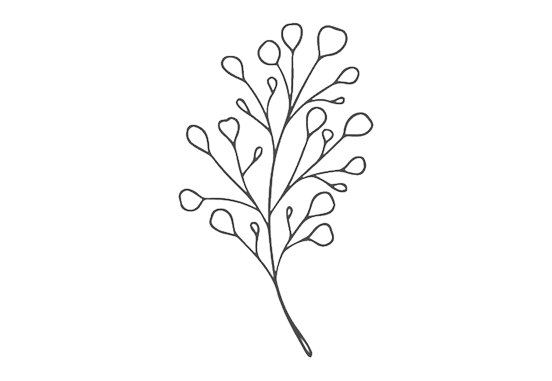 Слідкуй за нами