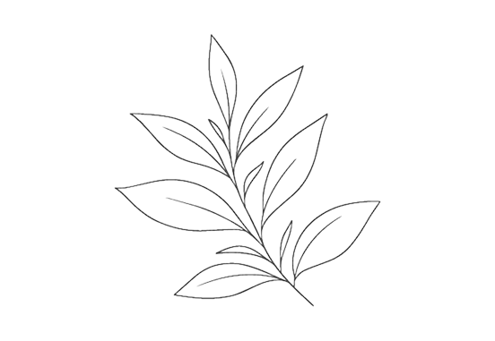 Отримуй знижки на дні народження