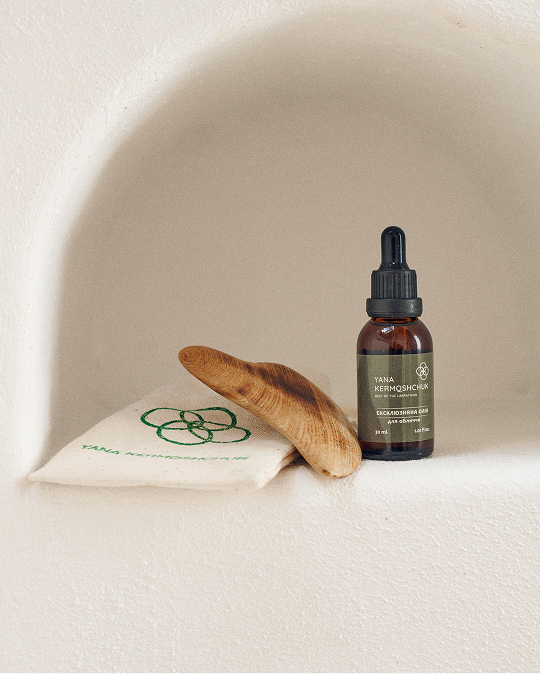 Вступ та опис